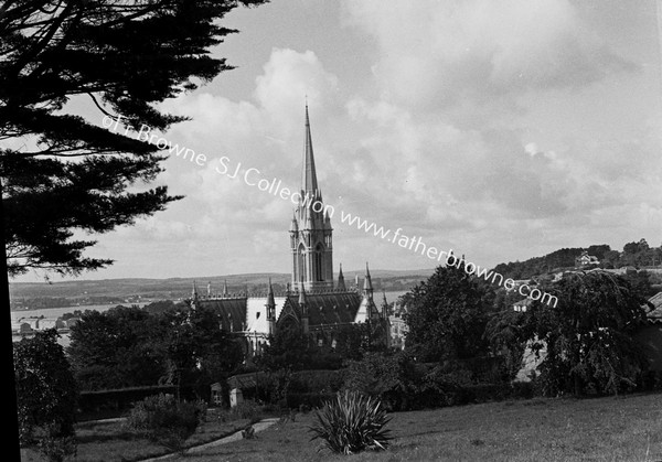 CATHEDRAL FROM ST MARY'S